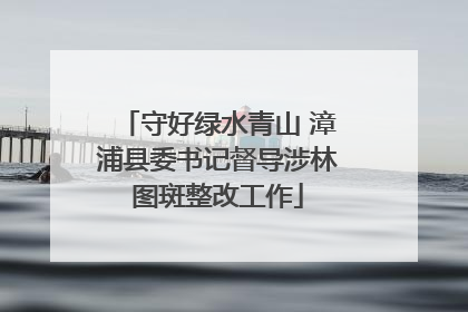 守好绿水青山 漳浦县委书记督导涉林图斑整改工作