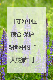 守好中国粮仓 保护耕地中的“大熊猫”
