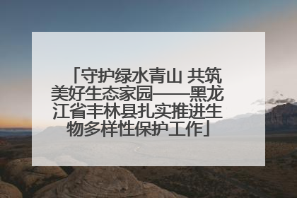 守护绿水青山 共筑美好生态家园——黑龙江省丰林县扎实推进生物多样性保护工作