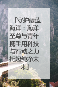 守护蔚蓝海洋：海洋至尊与青年携手用科技与行动之力托起纯净未来