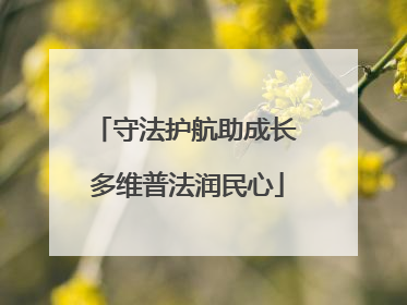 守法护航助成长 多维普法润民心