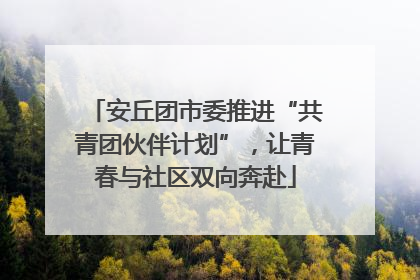 安丘团市委推进“共青团伙伴计划”，让青春与社区双向奔赴