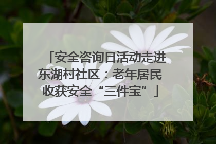 安全咨询日活动走进东湖村社区：老年居民收获安全“三件宝”