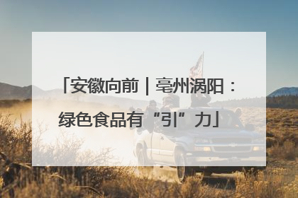 安徽向前｜亳州涡阳：绿色食品有“引”力