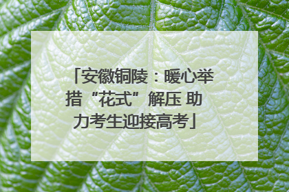 安徽铜陵：暖心举措“花式”解压 助力考生迎接高考
