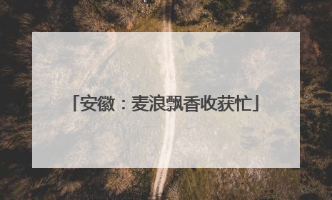 安徽：麦浪飘香收获忙