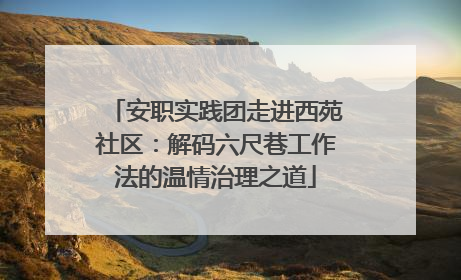 安职实践团走进西苑社区：解码六尺巷工作法的温情治理之道