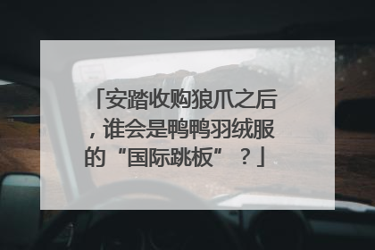安踏收购狼爪之后，谁会是鸭鸭羽绒服的“国际跳板”？