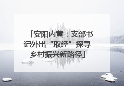 安阳内黄：支部书记外出“取经”探寻乡村振兴新路径