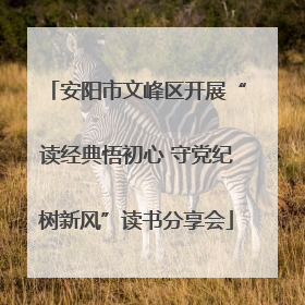 安阳市文峰区开展“读经典悟初心 守党纪树新风”读书分享会