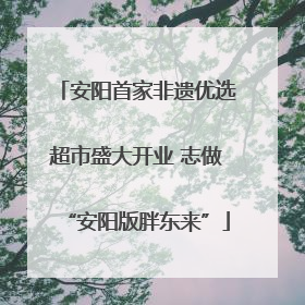 安阳首家非遗优选超市盛大开业 志做“安阳版胖东来”