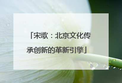 宋歌：北京文化传承创新的革新引擎