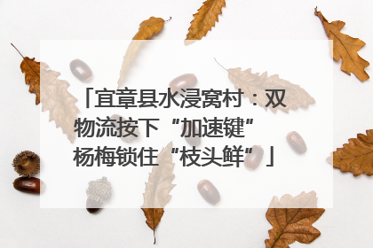 宜章县水浸窝村：双物流按下“加速键” 杨梅锁住“枝头鲜”