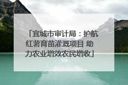 宜城市审计局：护航红薯育苗灌溉项目 助力农业增效农民增收