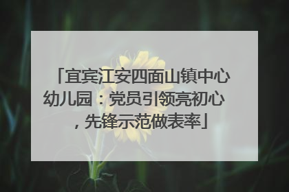 宜宾江安四面山镇中心幼儿园：党员引领亮初心，先锋示范做表率