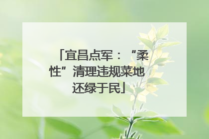 宜昌点军：“柔性”清理违规菜地 还绿于民