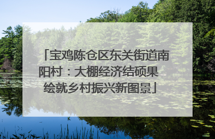 宝鸡陈仓区东关街道南阳村：大棚经济结硕果 绘就乡村振兴新图景