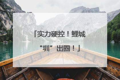 实力硬控！鲤城“圳”出圈！