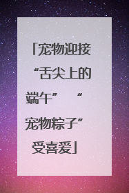 宠物迎接“舌尖上的端午” “宠物粽子”受喜爱