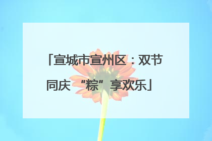 宣城市宣州区：双节同庆 “粽”享欢乐