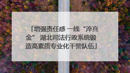 增强责任感 一线“淬真金” 湖北司法行政系统锻造高素质专业化干警队伍