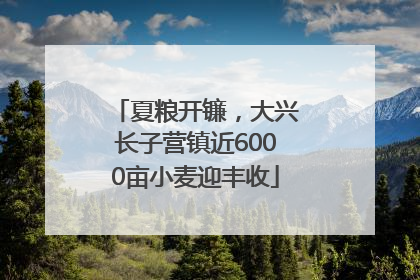 夏粮开镰，大兴长子营镇近6000亩小麦迎丰收