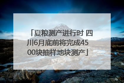 夏粮测产进行时 四川6月底前将完成4500块抽样地块测产