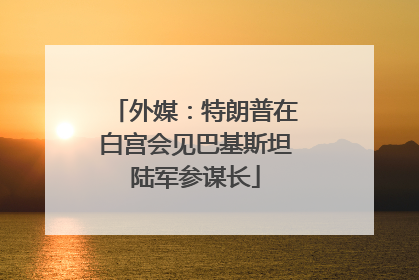 外媒：特朗普在白宫会见巴基斯坦陆军参谋长
