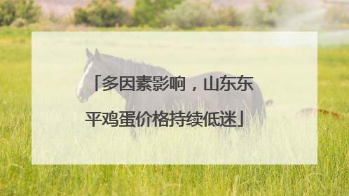 多因素影响，山东东平鸡蛋价格持续低迷