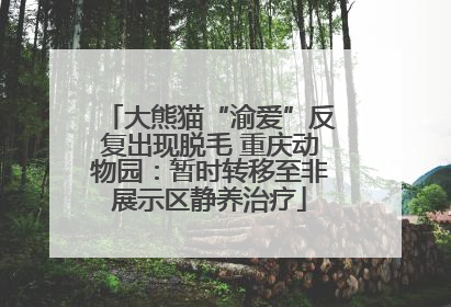大熊猫“渝爱”反复出现脱毛 重庆动物园：暂时转移至非展示区静养治疗