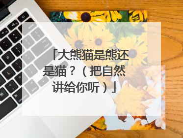 大熊猫是熊还是猫？（把自然讲给你听）
