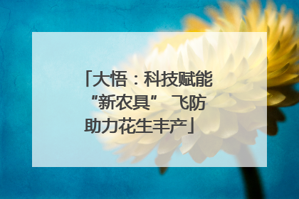 大悟：科技赋能“新农具” 飞防助力花生丰产