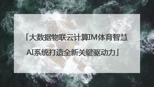 大数据物联云计算IM体育智慧AI系统打造全新关键驱动力