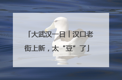 大武汉一日︱汉口老街上新，太“豆”了