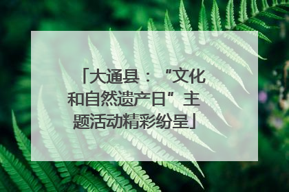 大通县：“文化和自然遗产日”主题活动精彩纷呈