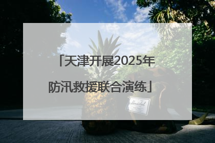 天津开展2025年防汛救援联合演练