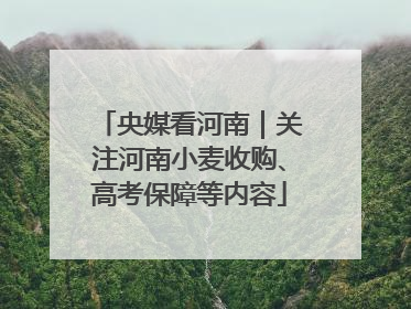 央媒看河南｜关注河南小麦收购、高考保障等内容