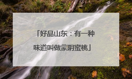 好品山东：有一种味道叫做蒙阴蜜桃
