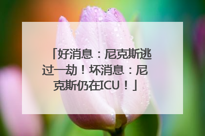 好消息：尼克斯逃过一劫！坏消息：尼克斯仍在ICU！