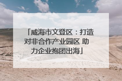 威海市文登区：打造对非合作产业园区 助力企业抱团出海