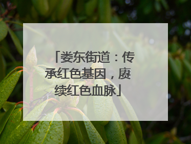 娄东街道：传承红色基因，赓续红色血脉