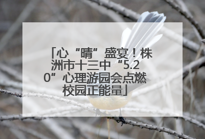 心“晴”盛宴！株洲市十三中“5.20”心理游园会点燃校园正能量