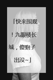 快来围观！九眼楼长城，傻狍子出没~