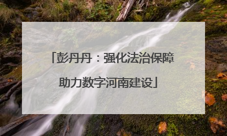 彭丹丹：强化法治保障 助力数字河南建设