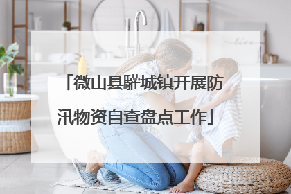 微山县驩城镇开展防汛物资自查盘点工作