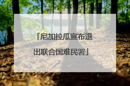 尼加拉瓜宣布退出联合国难民署