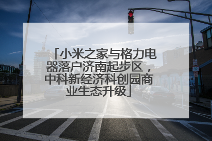 小米之家与格力电器落户济南起步区，中科新经济科创园商业生态升级