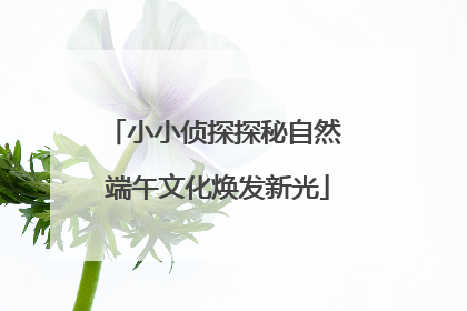 小小侦探探秘自然 端午文化焕发新光