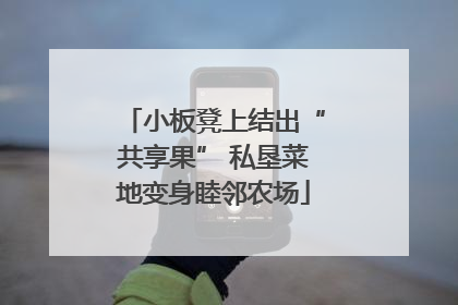 小板凳上结出“共享果” 私垦菜地变身睦邻农场