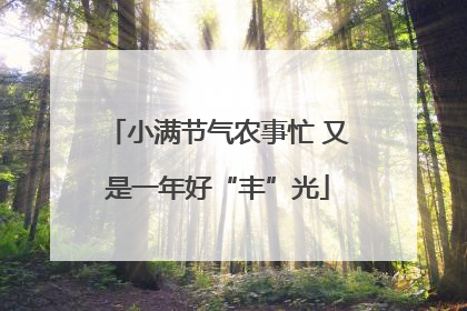 小满节气农事忙 又是一年好“丰”光